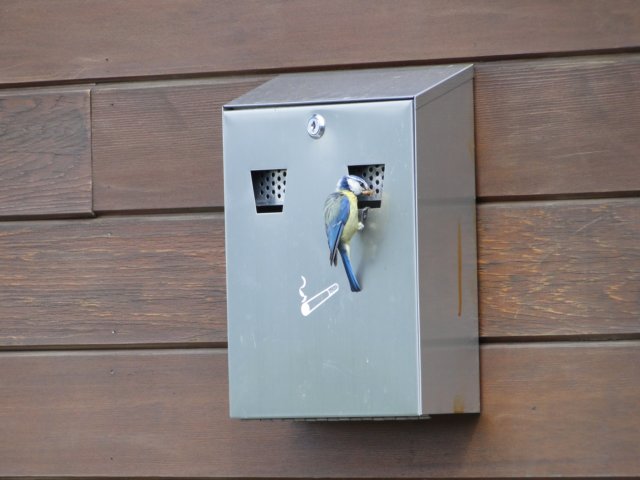 2014HWK 040.jpg